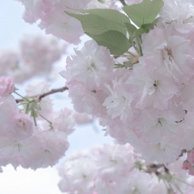 兽设复古风格设计兽圈群